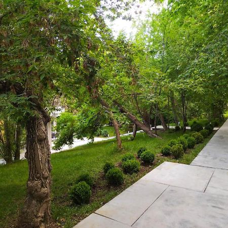 Hotel Cupidon Сатурн Экстерьер фото